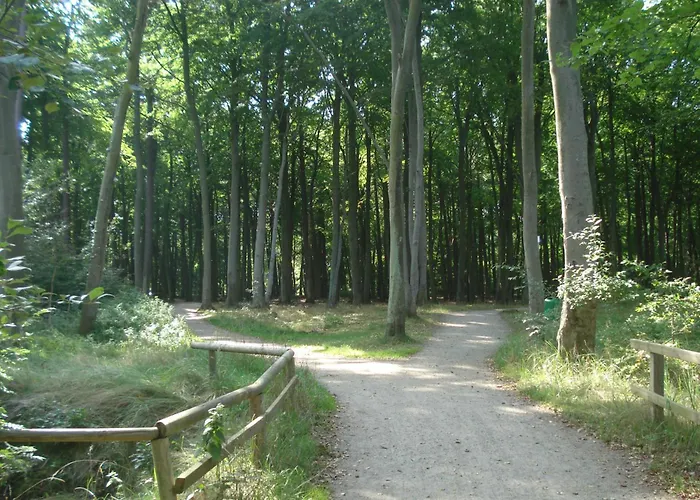 Kuestenwald - Ferienzimmer Grosser Eikkater 8 民宿